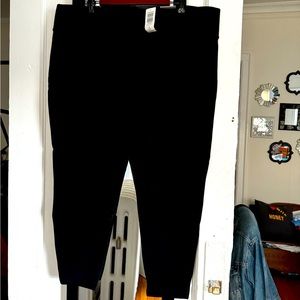 NWT torrid fleece lined pixie pant
